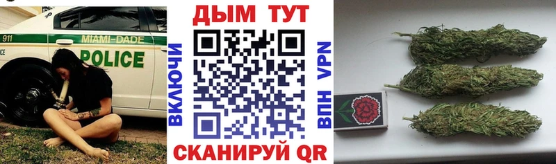 Альфа ПВП Ишим