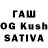 Псилоцибиновые грибы GOLDEN TEACHER Valery Daitkhe