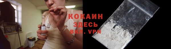шишки Мегион