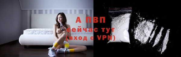 шишки Мегион