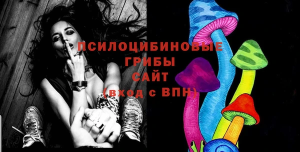 шишки Мегион