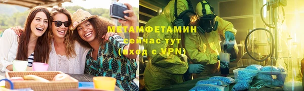 шишки Мегион