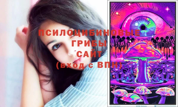 шишки Мегион