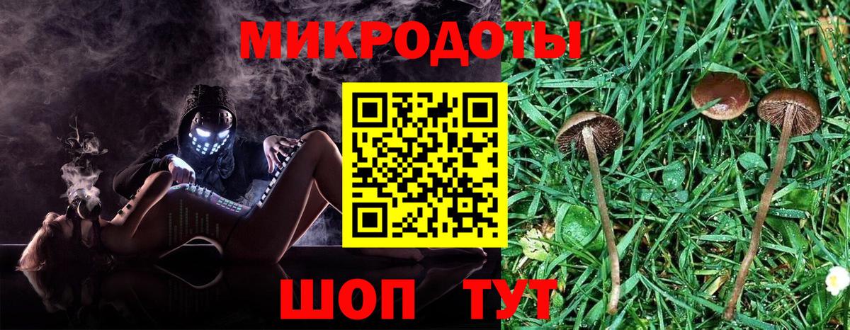 Галлюциногенные грибы Cubensis Ишим