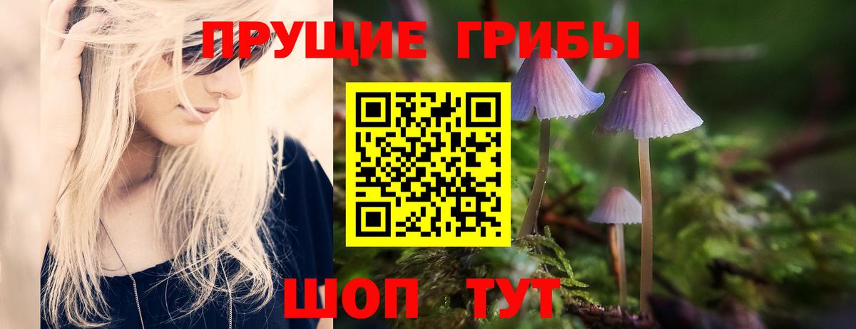 Ишим  цены наркотик  Вход с VPN  Псилоцибиновые грибы мухоморы 